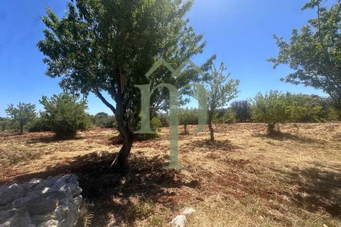 Ruinere i Carovigno, Brindisi, Carovigno - € 97.000 | Ref: Trullo Iovite - foto 22